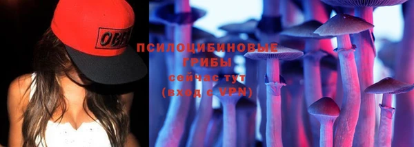 экстази Богородицк