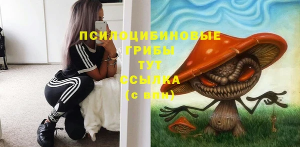 экстази Богородицк