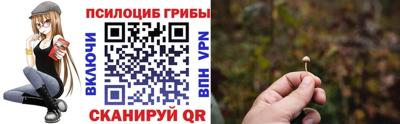 Псилоцибиновые грибы Magic Shrooms  Купить закладки  Ковылкино 